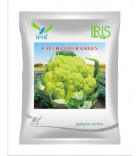 Iris OP Cauliflower Green 10 grams